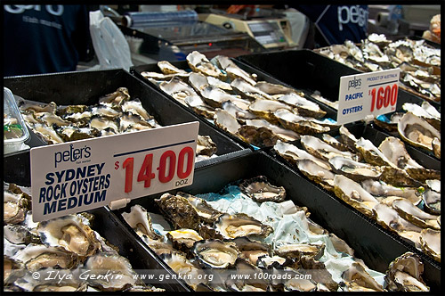 Сиднейский Рыбный Рынок, Sydney Fish Market, Пирмонт, Pyrmont, Сидней, Sydney, Австралия, Australia