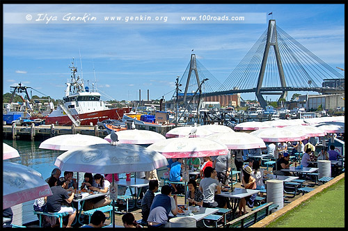 Сиднейский Рыбный Рынок, Sydney Fish Market, Пирмонт, Pyrmont, Сидней, Sydney, Австралия, Australia