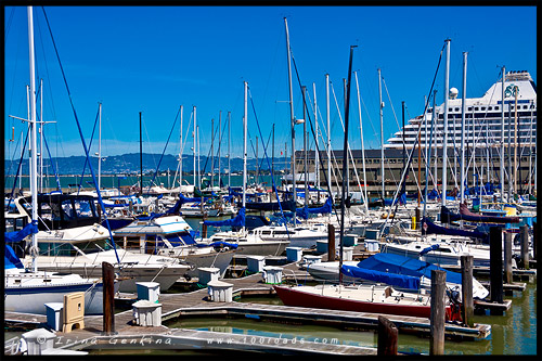 Пирс 39, Рыбацкая пристань, Fishermans Wharf, Сан Франциско, San Francisco, Калифорния, California, СЩА, USA, Америка, America