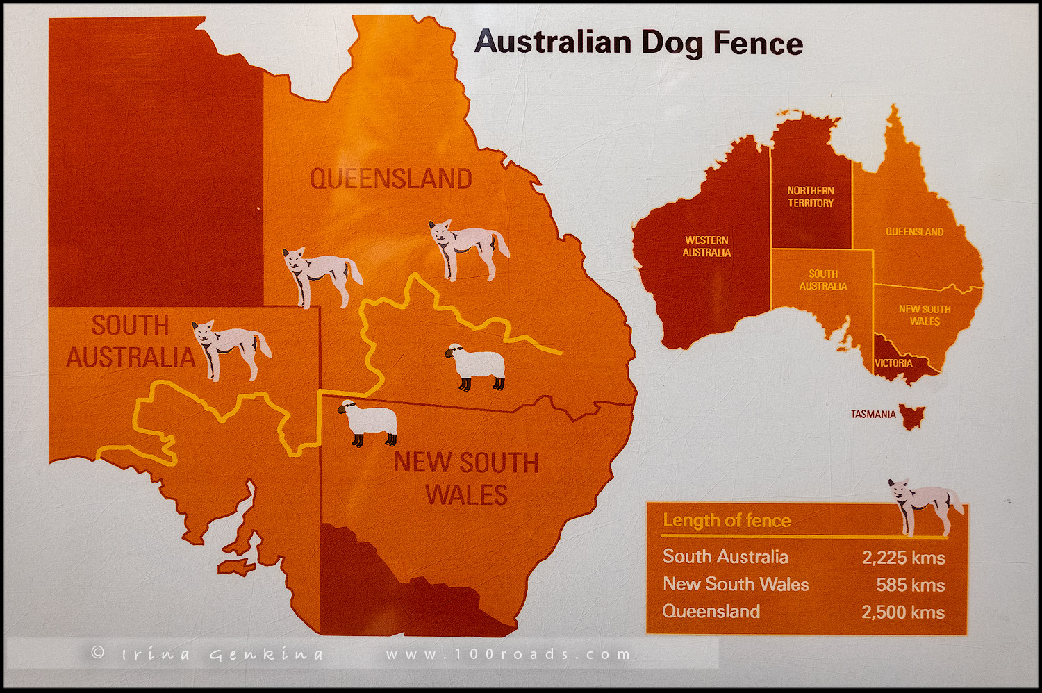 Австралийский забор карта